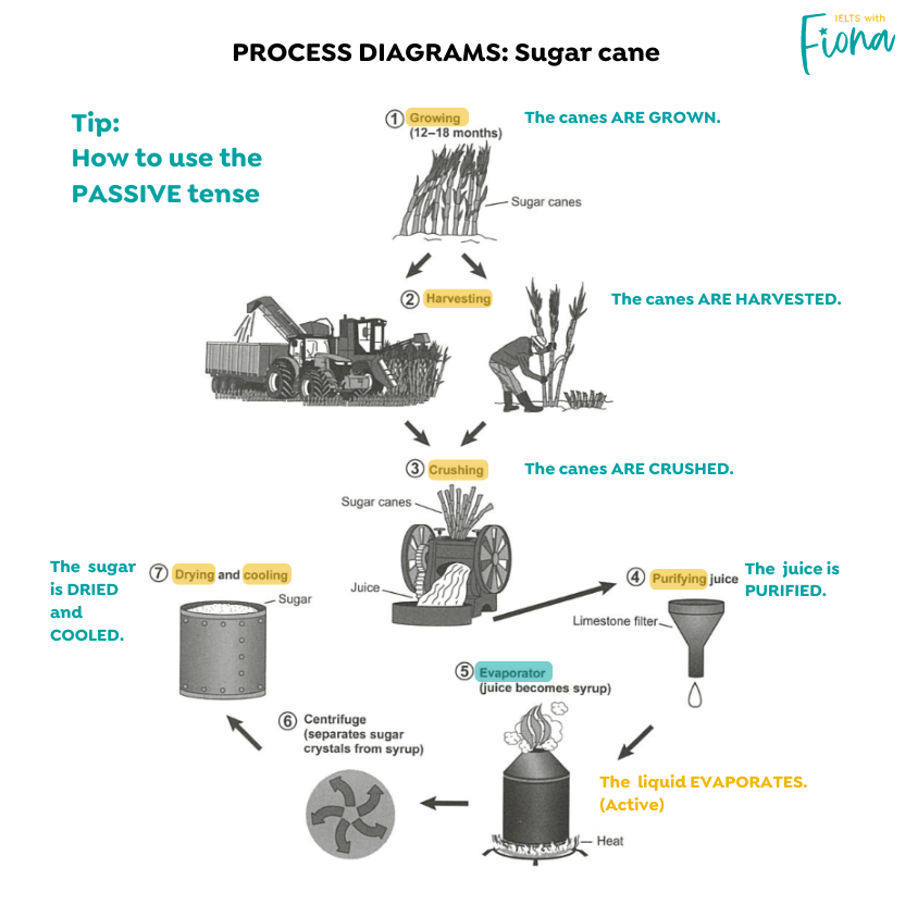 TASK 1 ACADEMIC 6 IELTS process diagrams sugar cane 1