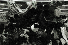 تصویر صفحه 2025 03 25 202932