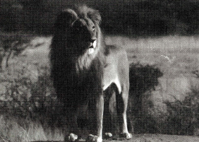 تصویر صفحه 2025 03 25 205316